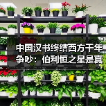 中国汉书终结西方千年争吵：伯利恒之星是真实存在（图2）