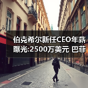 伯克希尔新任CEO年薪曝光:2500万美元 巴菲特的250倍!(图3) 伯克希尔新任CEO年薪曝光:2500万美元 巴菲特的250倍!(图3)