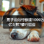 男子云闪付惊现1000万亿欠款?银行回应