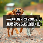 一张机票不到200元 元旦后部分航线出现1到2折低价票（图2）