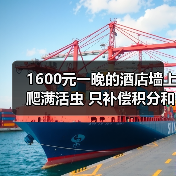 1600元一晚的酒店墙上爬满活虫 只补偿积分和一盒茶叶