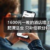 1600元一晚的酒店墙上爬满活虫 只补偿积分和一盒茶叶(图3) 1600元一晚的酒店墙上爬满活虫 只补偿积分和一盒茶叶(图3)