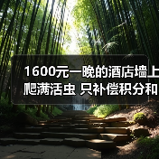1600元一晚的酒店墙上爬满活虫 只补偿积分和一盒茶叶(图4) 1600元一晚的酒店墙上爬满活虫 只补偿积分和一盒茶叶(图4)