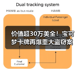 价值超30万美金！宝可梦卡牌再爆重大盗窃案（图3）