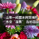 山东一闲置水井突喷热水变“温泉” 当地回应:和降水较多有关(图2) 山东一闲置水井突喷热水变“温泉” 当地回应:和降水较多有关(图2)