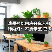 演员孙怡回应开车不打转向灯：不良示范 已深刻反思（图1）