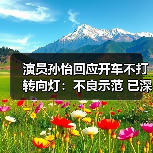 演员孙怡回应开车不打转向灯：不良示范 已深刻反思（图2）