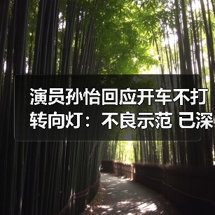 演员孙怡回应开车不打转向灯：不良示范 已深刻反思（图3）