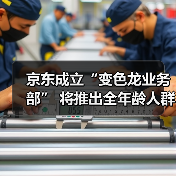 京东成立“变色龙业务部” 将推出全年龄人群AI玩具(图4) 京东成立“变色龙业务部” 将推出全年龄人群AI玩具(图4)