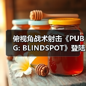 俯视角战术射击《PUBG: BLINDSPOT》登陆Steam 预计2月5日开启抢先体验(图2) 俯视角战术射击《PUBG: BLINDSPOT》登陆Steam 预计2月5日开启抢先体验(图2)