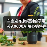 车主选车牌摇到豹子号苏A0000A 陪办销售直呼活久见（图4）