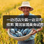 一边闭店欠薪一边宣布收购 高端家居美克试图翻身（图2）