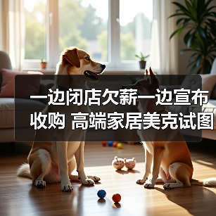 一边闭店欠薪一边宣布收购 高端家居美克试图翻身（图1）