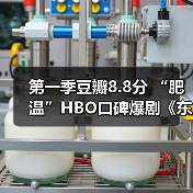 第一季豆瓣8.8分 “肥温”HBO口碑爆剧《东城梦魇》将拍第二季（图4）