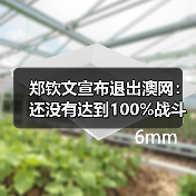 郑钦文宣布退出澳网：还没有达到100%战斗状态（图2）