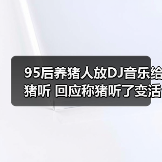 95后养猪人放DJ音乐给猪听 回应称猪听了变活泼（图4）