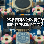 95后养猪人放DJ音乐给猪听 回应称猪听了变活泼（图3）