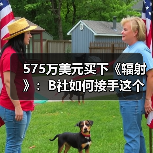 575万美元买下《辐射》：B社如何接手这个末世IP（图4）
