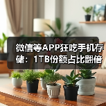 微信等APP狂吃手机存储：1TB份额占比翻倍 64GB要绝迹了（图3）