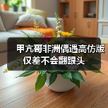 甲亢哥非洲偶遇高仿版 仅差不会翻跟头(图2) 甲亢哥非洲偶遇高仿版 仅差不会翻跟头(图2)