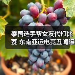 泰国选手帮女友代打比赛 东南亚运电竞丑闻曝光（图4）