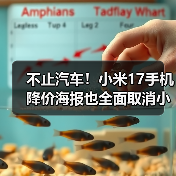 不止汽车！小米17手机降价海报也全面取消小字（图1）