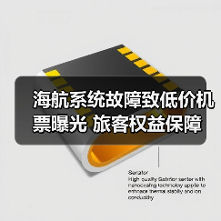 海航系统故障致低价机票曝光 旅客权益保障