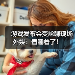 游戏发布会变尬聊现场 外媒：看睡着了！（图3）