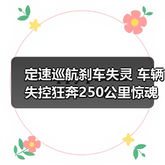 定速巡航刹车失灵 车辆失控狂奔250公里惊魂未定（图3）