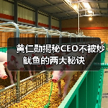 黄仁勋揭秘CEO不被炒鱿鱼的两大秘诀(图3) 黄仁勋揭秘CEO不被炒鱿鱼的两大秘诀(图3)