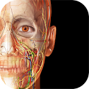 人体解剖学图谱App v6.003.012安卓版