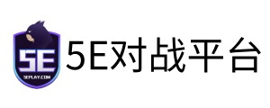 5E对战平台