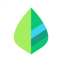 薄荷记账官方app v11.7.5安卓版 - 玄熵阿稻谷下载网移动软件应用